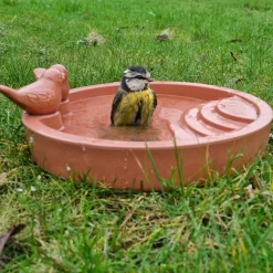 Abreuvoir "À l'eau" pour oiseaux