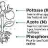 Activateur de compost UAB 1kg TERAGILE