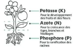 Activateur de compost UAB 1kg TERAGILE