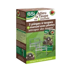Adieu la taupe en 1 jour BSI