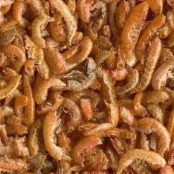 Aliment complet TetraGammarus pour tortues d'eau 1L