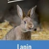 Aliment composé en granulés pour lapin 10kg