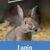 Aliment composé en granulés pour lapin 25kg