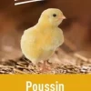 Aliment composé poussin 10kg PRODUIT DANS MA CAMPAGNE