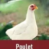 Aliment poulet finition 25 kg PRODUIT DANS MA CAMPAGNE