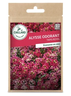 Alysse Odorant Tapis Royal 1g CAILLARD