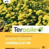 Alysse Saxatile Corbeille d'or 1g TERAGILE