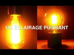 Ampoule filament LED déco G125 E27 1521lm 1800K blanc chaud