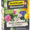 Anti-Chlorose reverdissant 100g ALGOFLASH