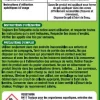 Anti fourmis en gel pyrèthre 2 x 15g PROTECT EXPERT