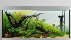 Aquarium 330 L FLUVAL SIENA (produit seul)