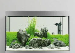 Aquarium 270 L FLUVAL SIENA (produit seul)