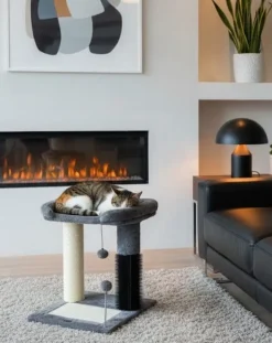 Arbre à chat à plateforme - jouet, griffoir, grattoir Gris