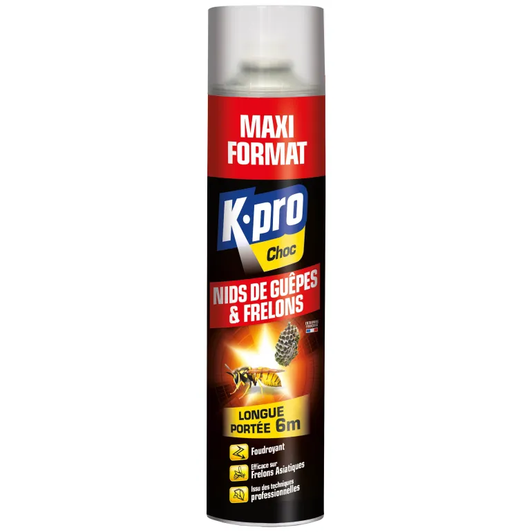Aérosol foudroyant spécial nids guêpes/frelons 600ml K.PRO
