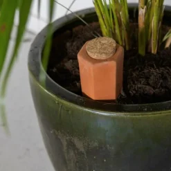 Arroseur à plantes pour bouteille L - 0,575L