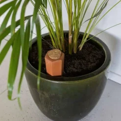 Arroseur à plantes pour bouteille L - 0,575L