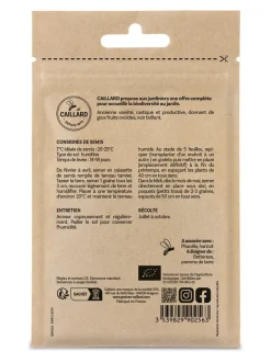 Aubergine Black Beauty Bio 0,5g CAILLARD