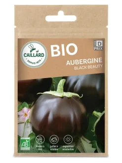 Aubergine Black Beauty Bio 0,5g CAILLARD