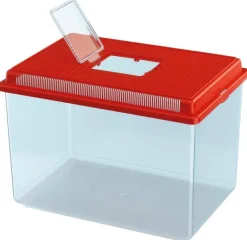 Bac en plastique GEO Extra Large aquarium/terrarium 11L