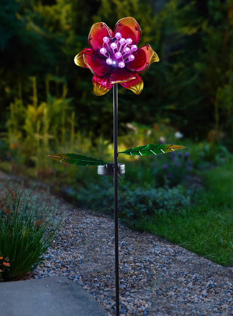 Balise solaire Globloom Rose 10 LED blanc froid - A l'unité