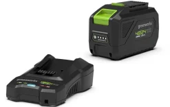 Batterie Lithium 48V DVT 4,0 Ah + chargeur GREENWORKS