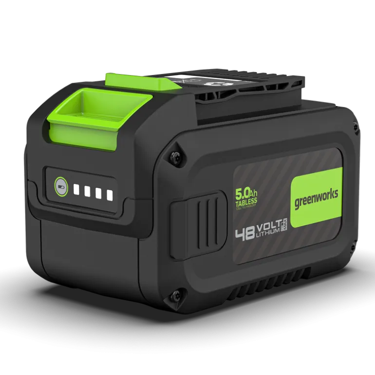Batterie Lithium 48V DVT 5,0 Ah GREENWORKS