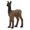 Bébé Lama