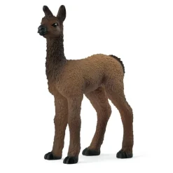 Bébé Lama