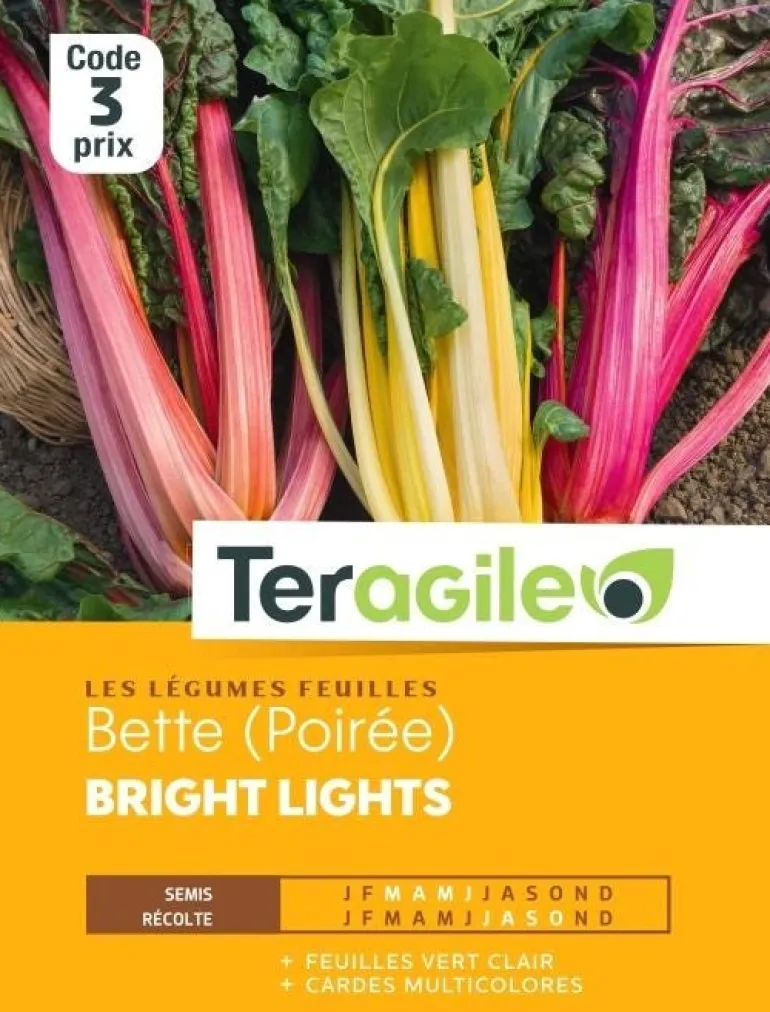 Bette (Poirée) Bright Lights 2g TERAGILE