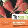Betterave géante rouge 250g