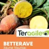 Betterave jaune Vauriac 500g