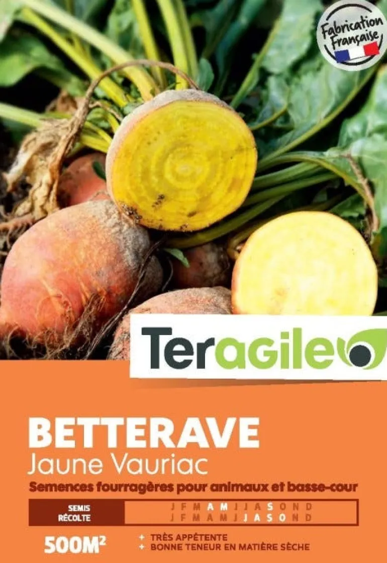 Betterave jaune Vauriac 500g
