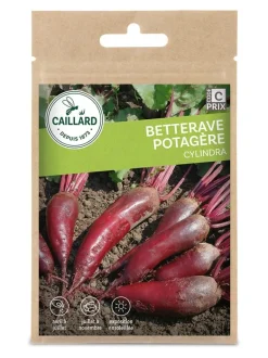 Betterave Potagère Cylindra 5g CAILLARD
