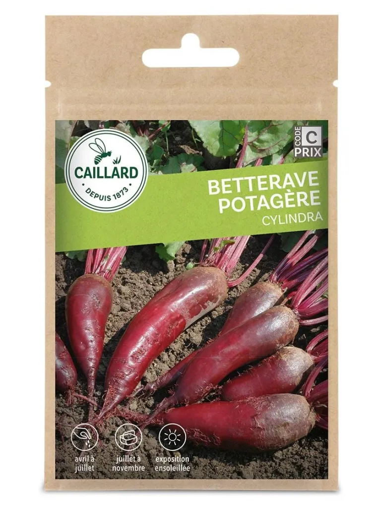 Betterave Potagère Cylindra 5g CAILLARD