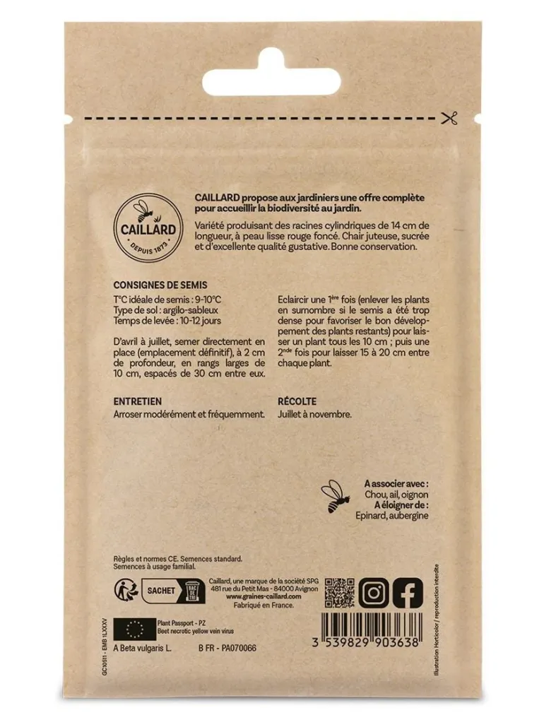 Betterave Potagère Cylindra 5g CAILLARD