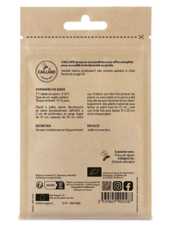 Betterave Potagère d'Egypte Bio 3,5g CAILLARD
