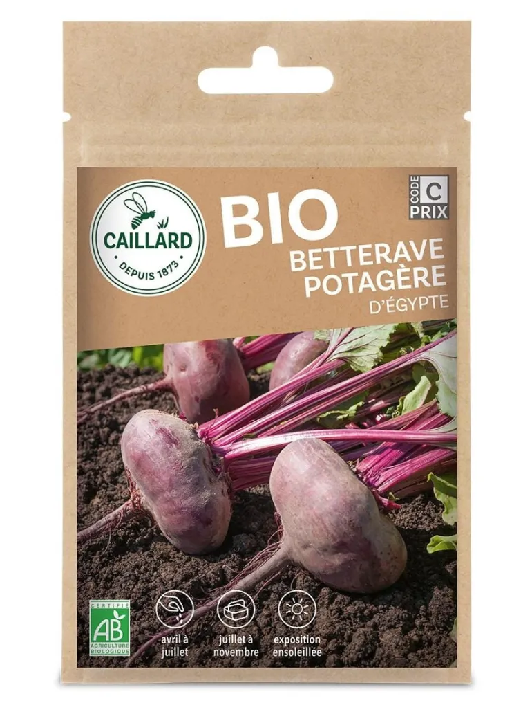 Betterave Potagère d'Egypte Bio 3,5g CAILLARD