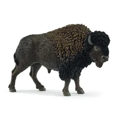 Bison