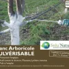 Blanc arboricole pulvérisable UAB 3L