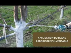 Blanc arboricole pulvérisable UAB 3L
