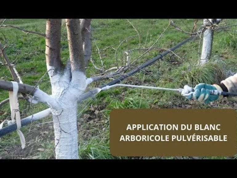 Blanc arboricole pulvérisable UAB 3L