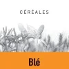 Blé tendre 25 kg PRODUIT DANS MA CAMPAGNE