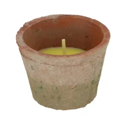 Bougie citronnelle pot terre cuite