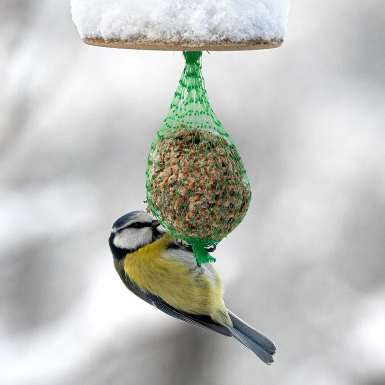 Boules de graisse avec filet pour oiseaux - Seau de 50