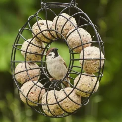 Boules de graisse sans filet pour oiseaux - Seau de 50