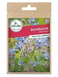 Bourrache Officinale 3g CAILLARD