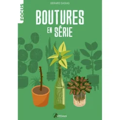 Boutures en série