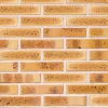 Brique perforée léopard 220x105x54 mm (à l'unité)