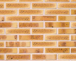 Brique pleine lisse léopard 220x105x54 mm (à l'unité)