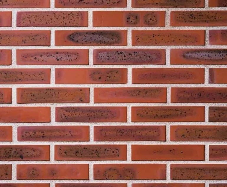 Brique pleine terre de rose 220x105x54 mm (à l'unité)